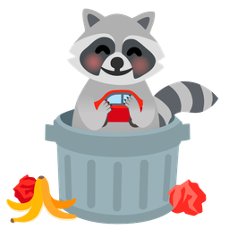 Raccoon and Automobile