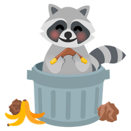 raccoon and boomerang