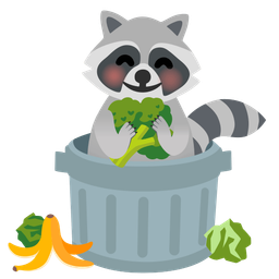 Raccoon and Broccoli