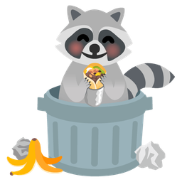 Raccoon and Burrito