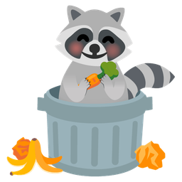 Raccoon and Carrot