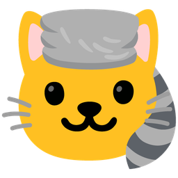 Raccoon and Cat face