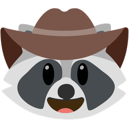 raccoon and cowboy hat face