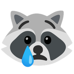 raccoon and crying face