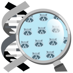 raccoon and dna