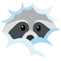 Raccoon and Face in clouds