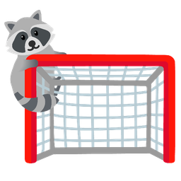 Raccoon and Goal net