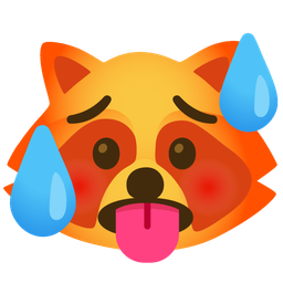 raccoon and hot face