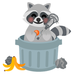 raccoon and lacrosse