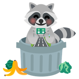 raccoon and motorway