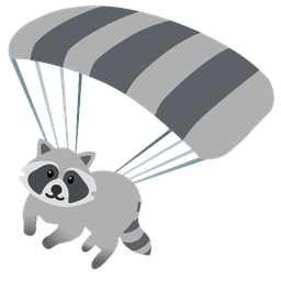Raccoon and Parachute