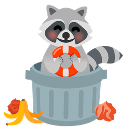 Raccoon and Ring buoy