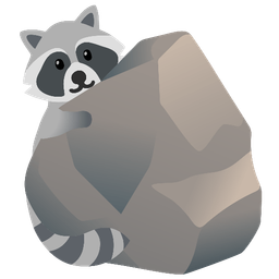Raccoon and Rock