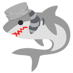 Raccoon and Shark