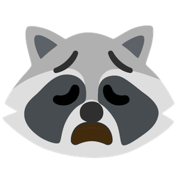 raccoon and weary face