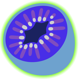 radioactive and kiwi fruit