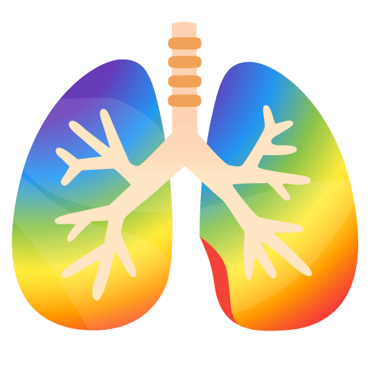 Rainbow and Lungs