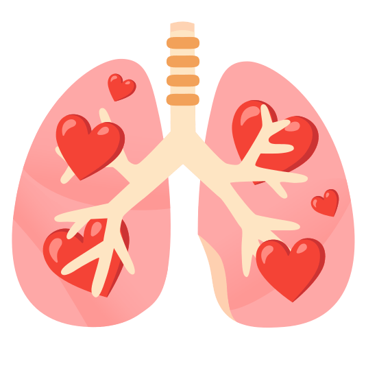 Red heart and Lungs