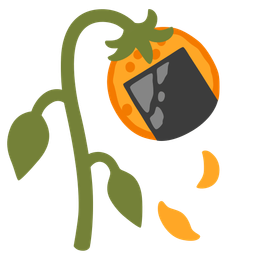 Rice cracker and Wilted flower