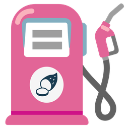 Roasted sweet potato and Fuel pump