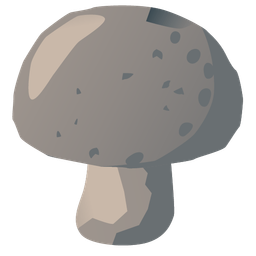 Rock and Mushroom