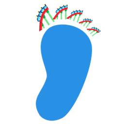 roller coaster and footprints