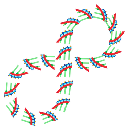 roller coaster and infinity