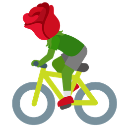 rose and bicycle