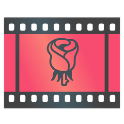 rose and film frames