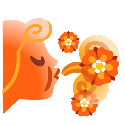 rosette and wind face