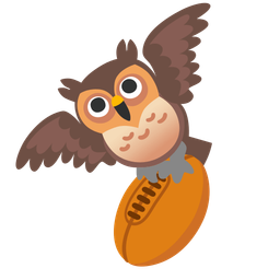 rugby football and owl
