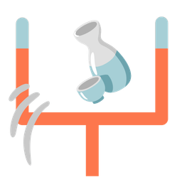 Sake and American football