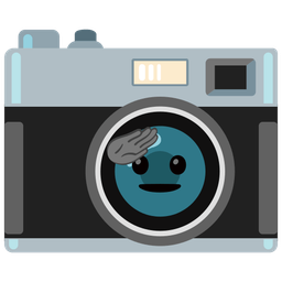 saluting face and camera