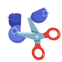 scissors and blueberries