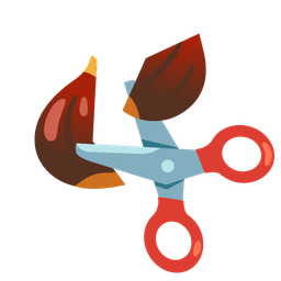 scissors and chestnut