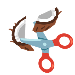 scissors and coconut