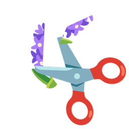 scissors and hyacinth