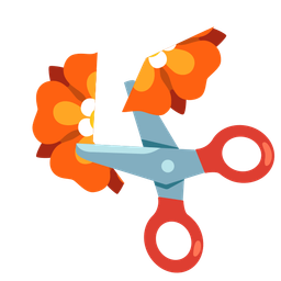 scissors and rosette