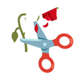 scissors and wilted flower