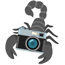 scorpion and camera