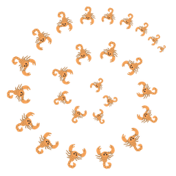 scorpion and cyclone