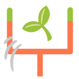 seedling and american football