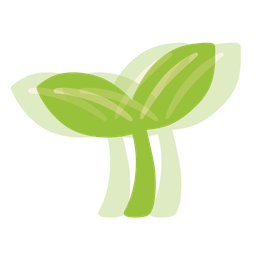 seedling and beating heart