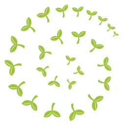 seedling and cyclone