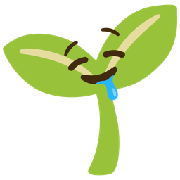 seedling and drooling face