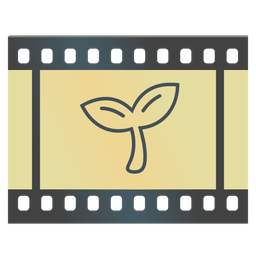 seedling and film frames