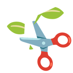 seedling and scissors