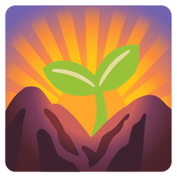seedling and sunrise over mountains