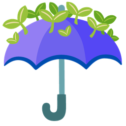 seedling and umbrella