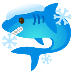 shark and cold face